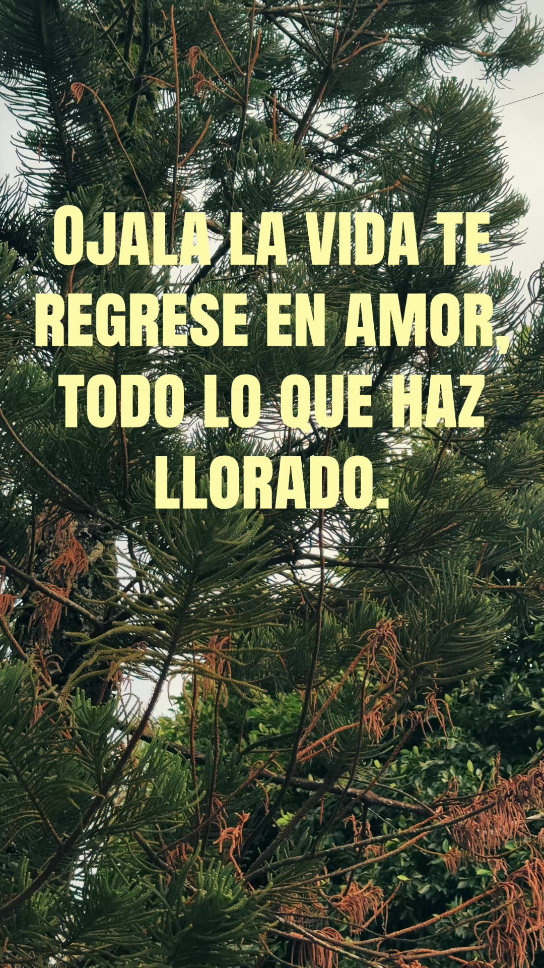 @marsarmienta