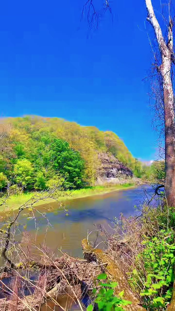 @Meena Tamang