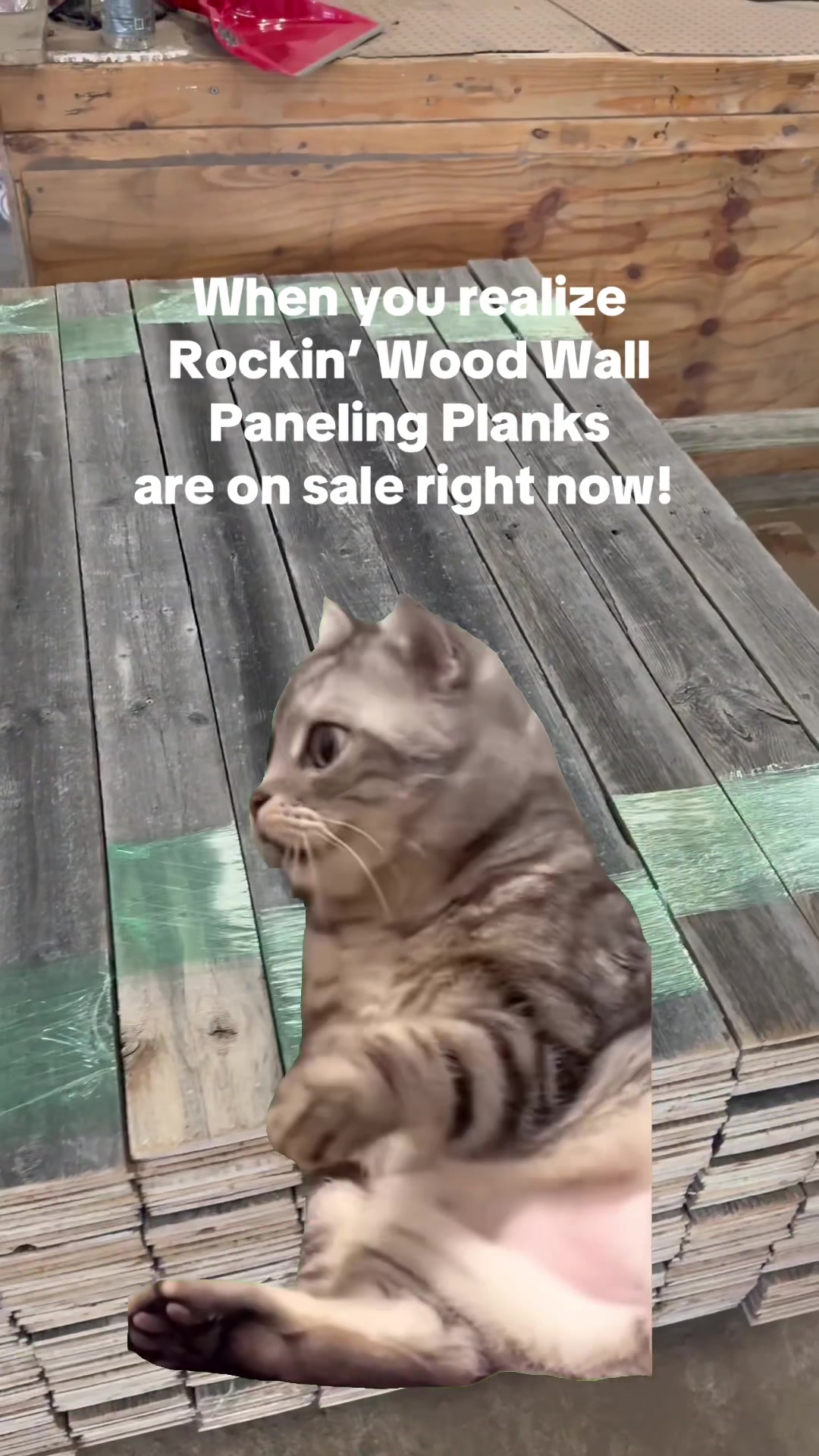 @Rockin Wood