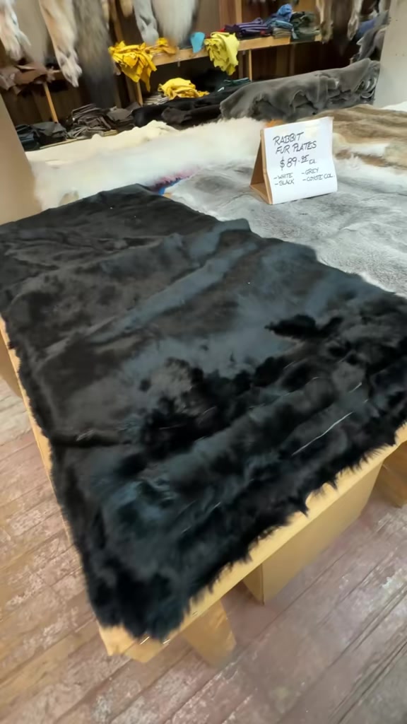 @Bill Worb Furs ๐จ๐ฆ