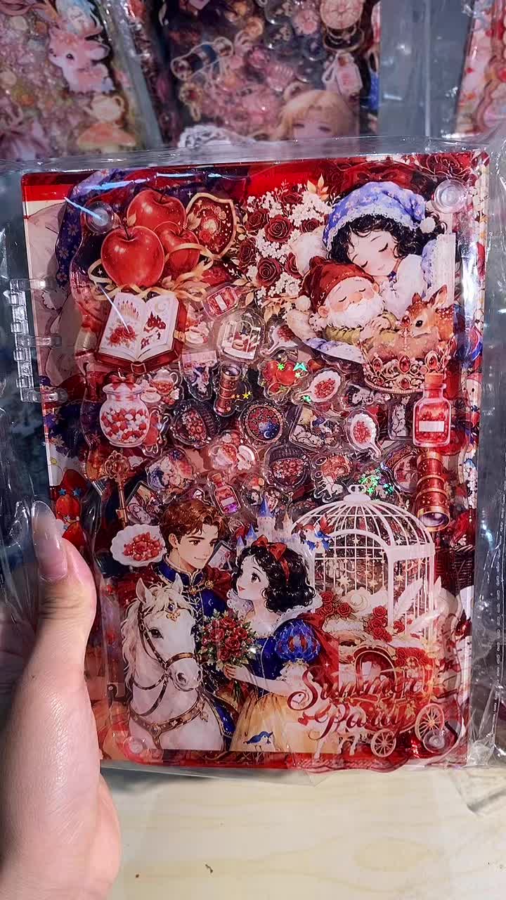@shakynotebookdiy_5