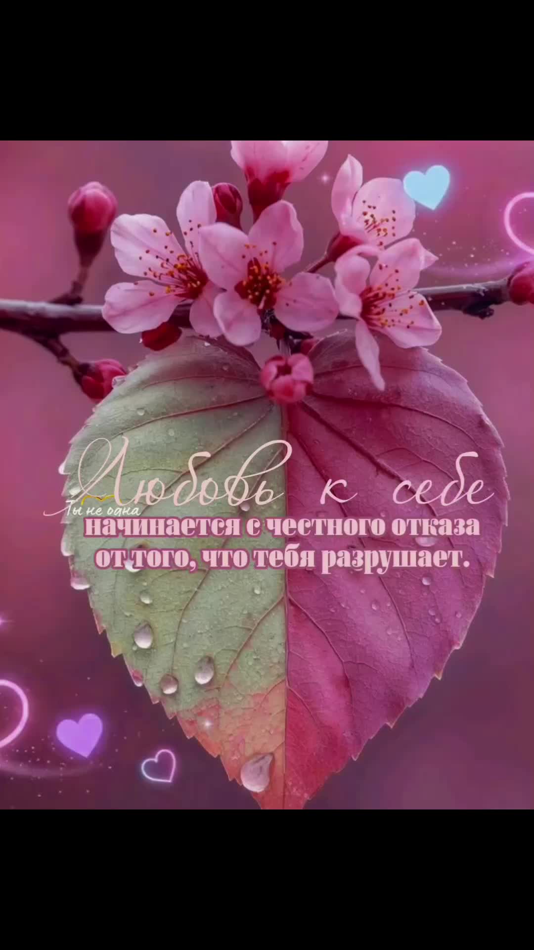 @#Цветик#
