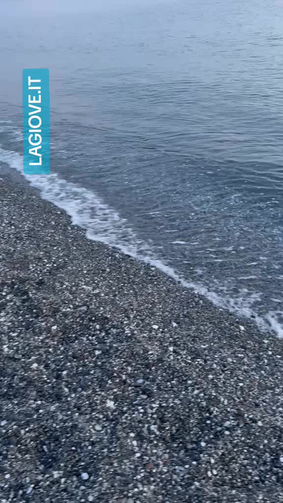 @SCALEA CALABRIA STRILL