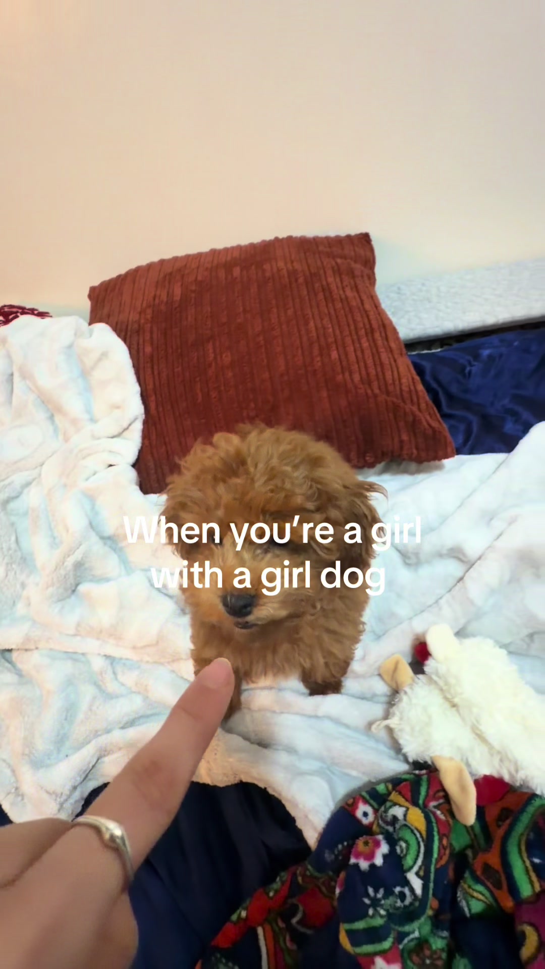 @Morgan
