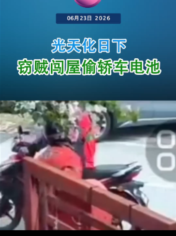 @中国报