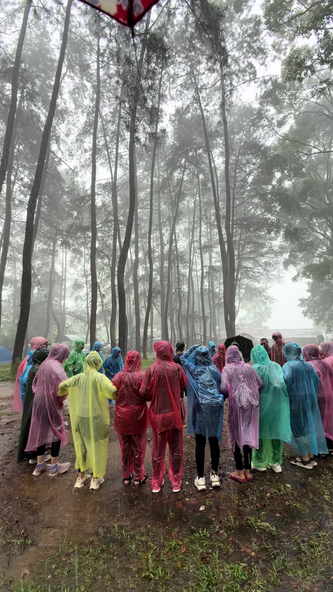 @Karmila Purba