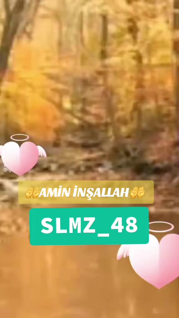 @♡S♡O♡L♡M♡A♡Z♡