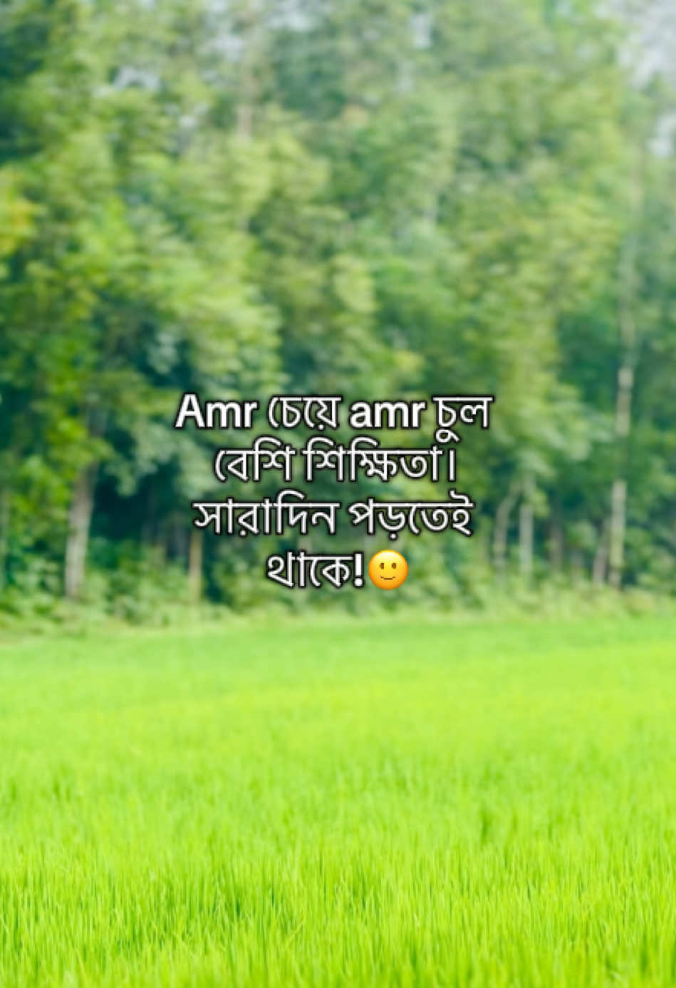 @টিক_টকি 🐸
