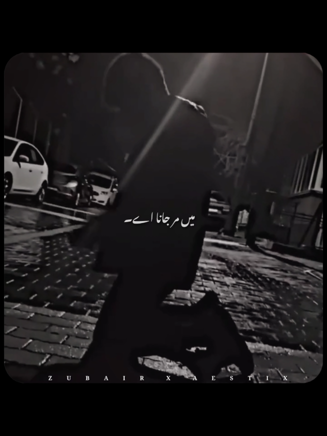 @𝙕𝙐𝘽𝘼𝙄𝙍 𝙓 𝘼𝙀𝙎𝙏𝙄𝙓🎧