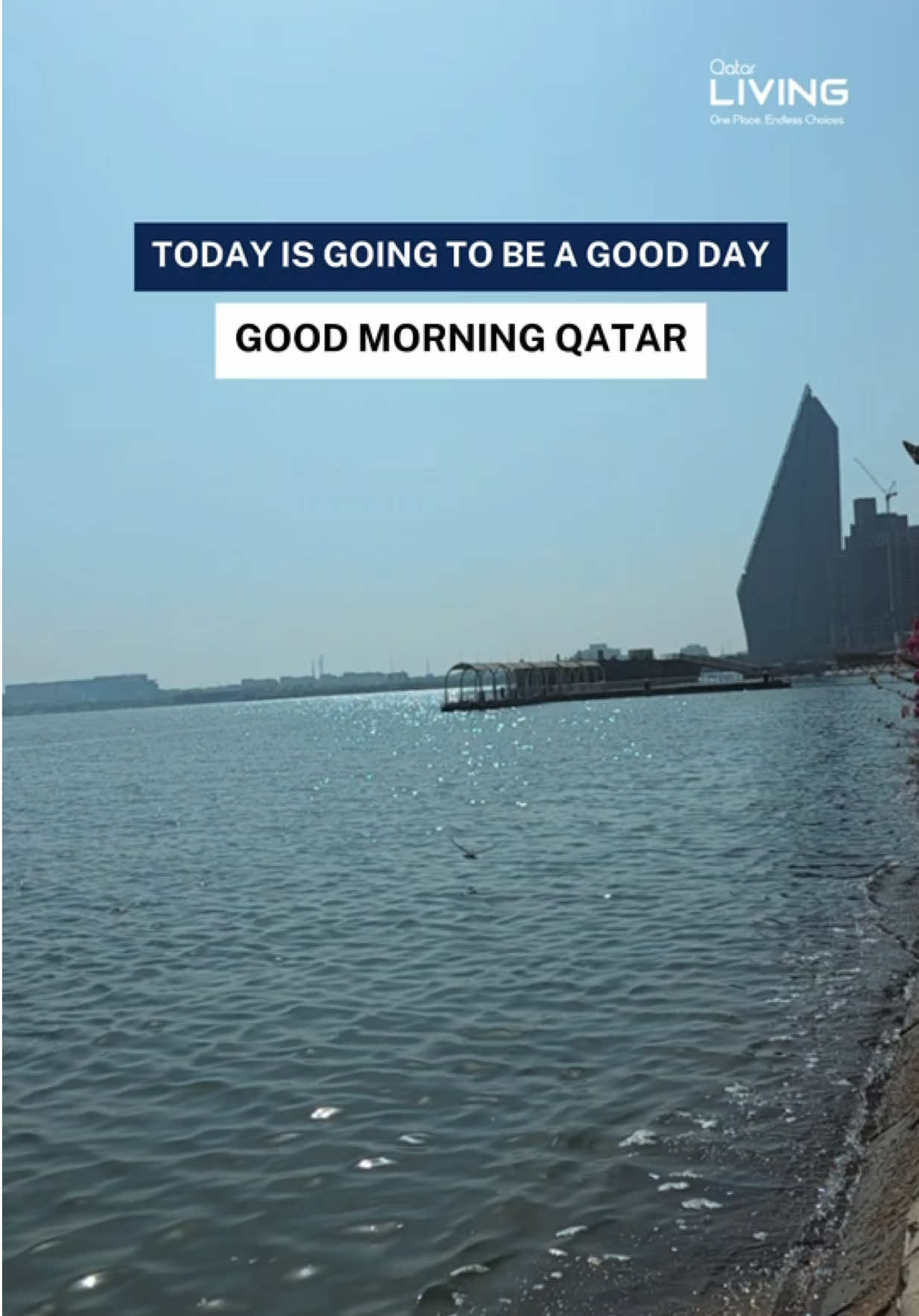 @Qatar Living