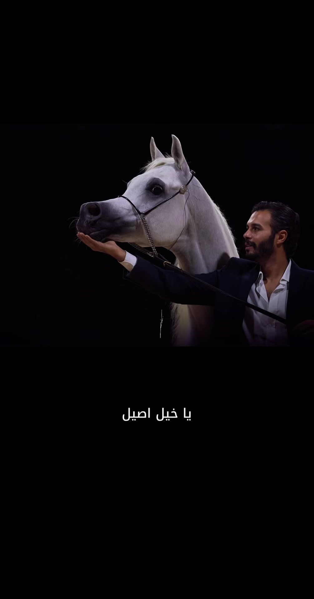 @Hatem settin حاتم ستين