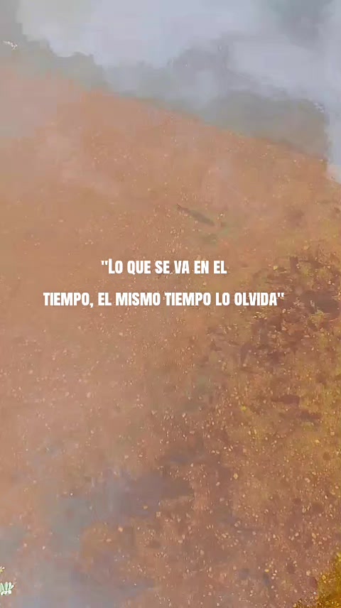 @LlaneritaOficial