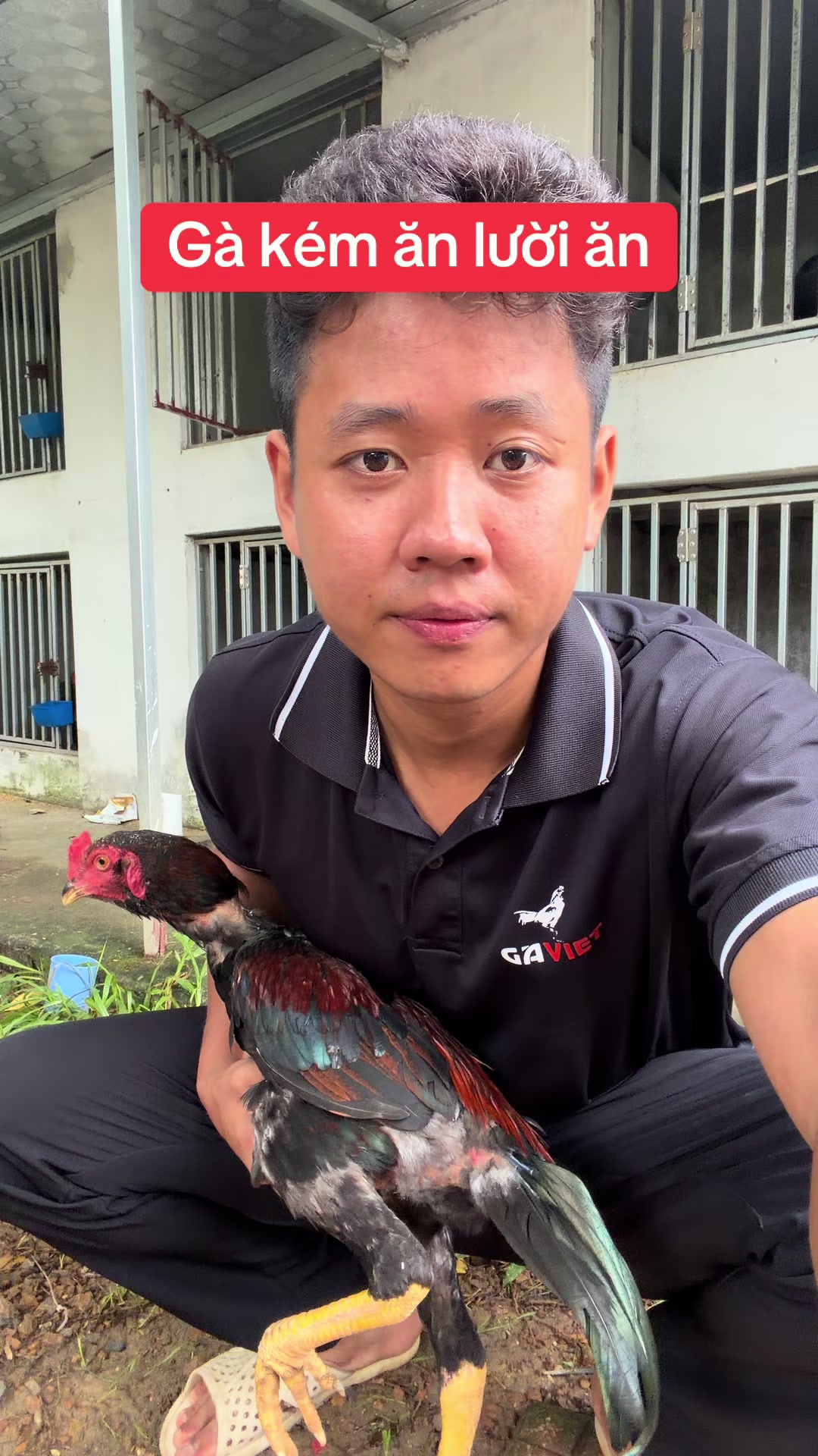 @Quyền Ba V&igrave;