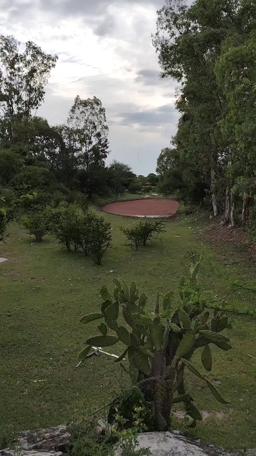 @chapiz payasita y payasita bor
