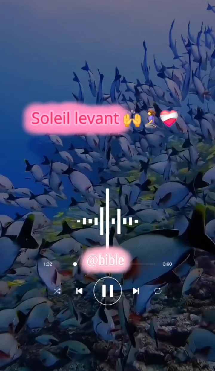 @☦️ Bible th&eacute;matique ⛪️