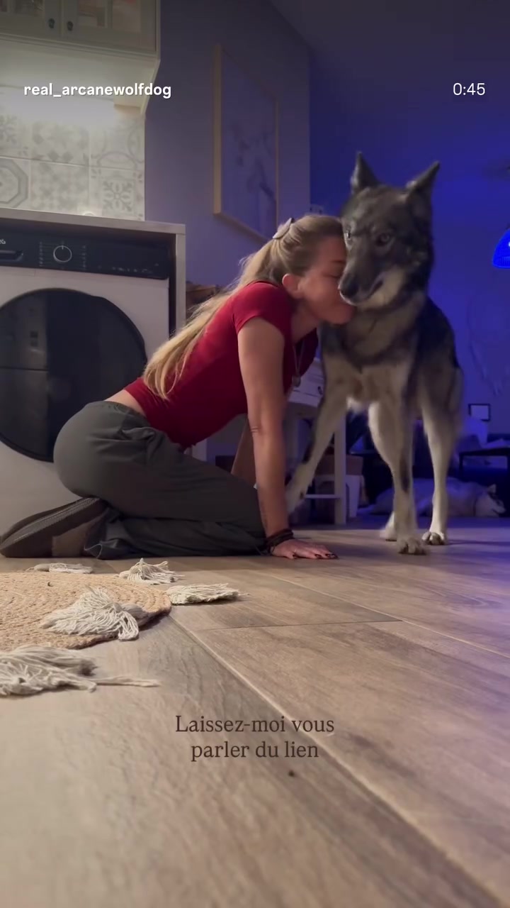 @Real_ArcaneWolfdog