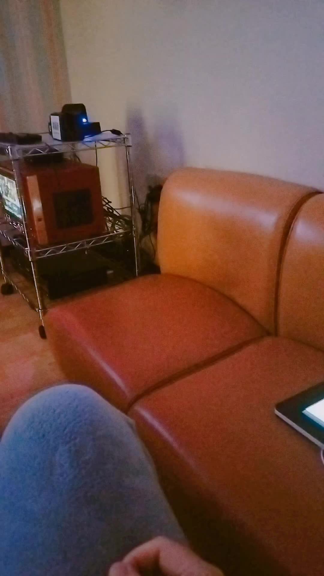 @æ¥âšðno warð·ðºð€ðºðŠ