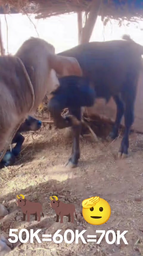 @akash125