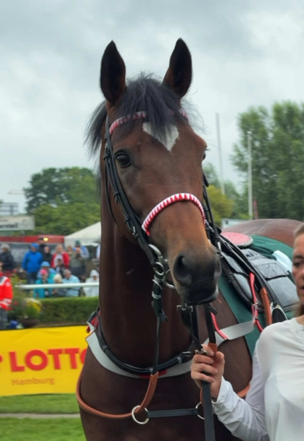 @Laura | German Horseracing
