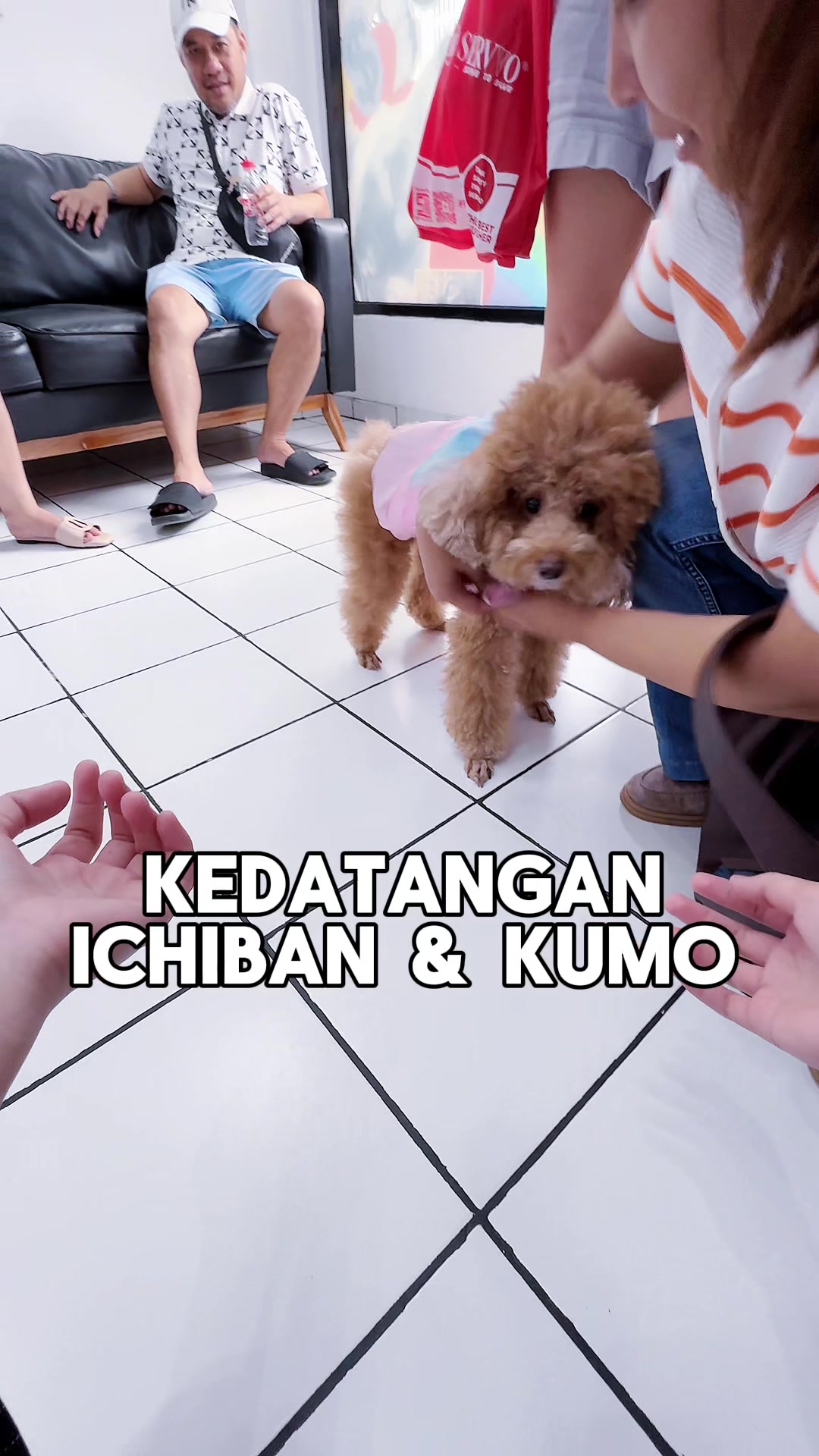@KAZU