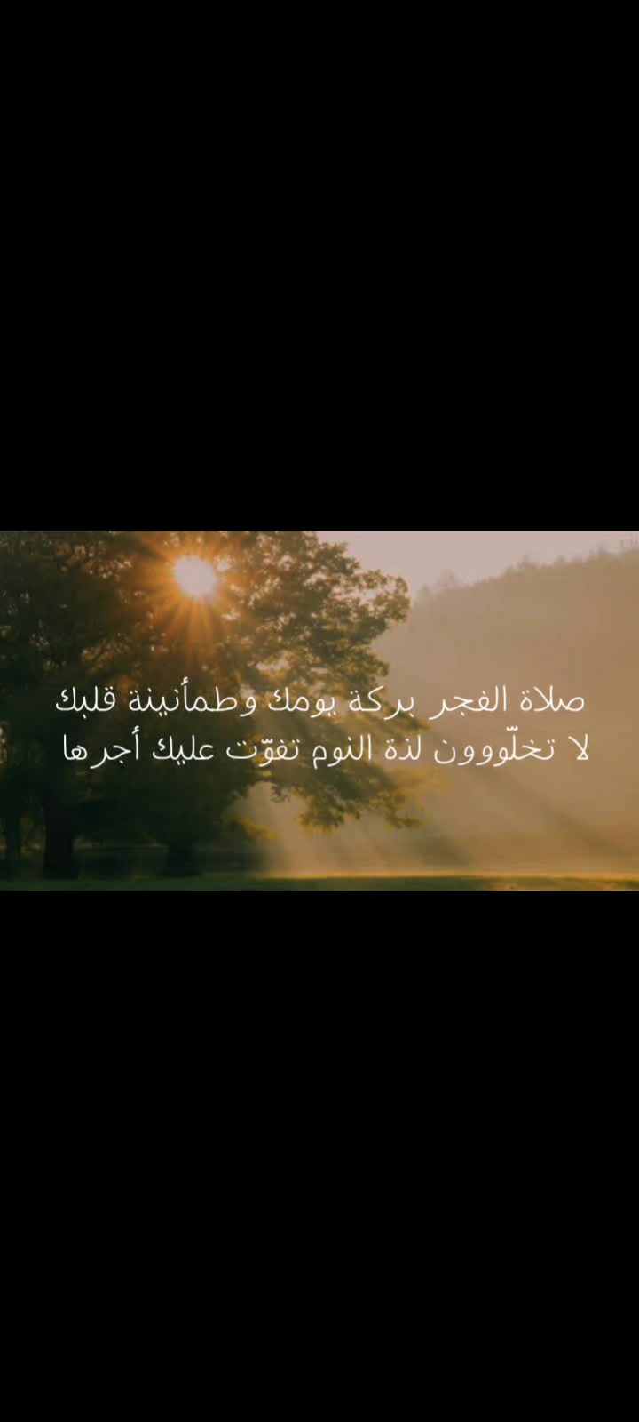 @مارلـين❣️.