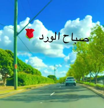 @زيزو Zak ملك الابتسامه 🌹