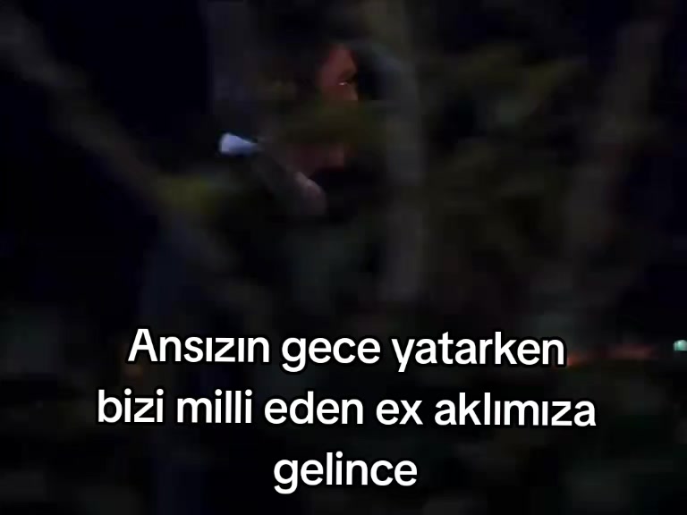 @fatihsione