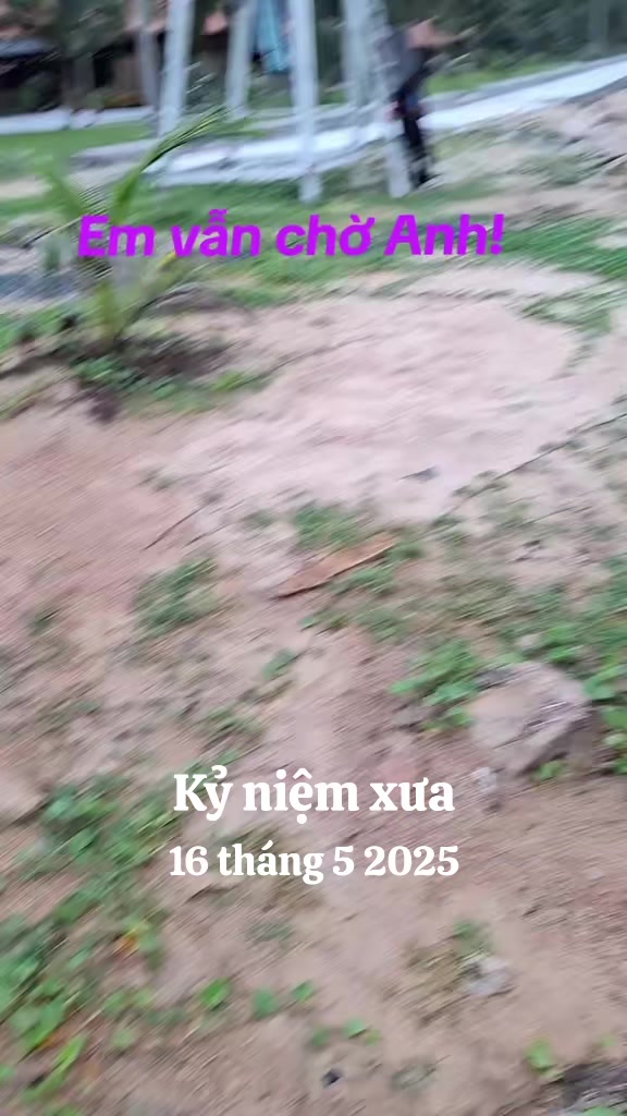 @nguyễn dung