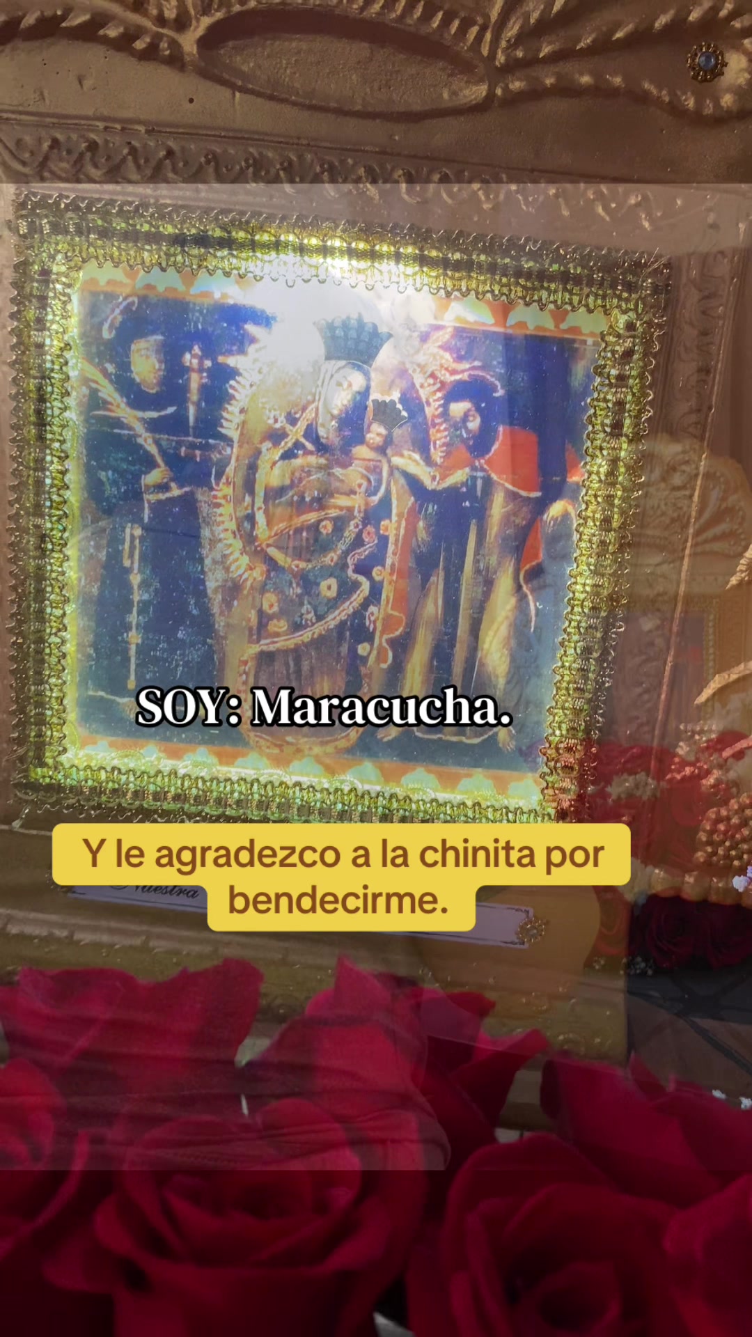 @ᥫ᭡ 𝐏𝐀𝐎 𝐂𝐀𝐑𝐎𝐋𝐈𝐍𝐀 ❥