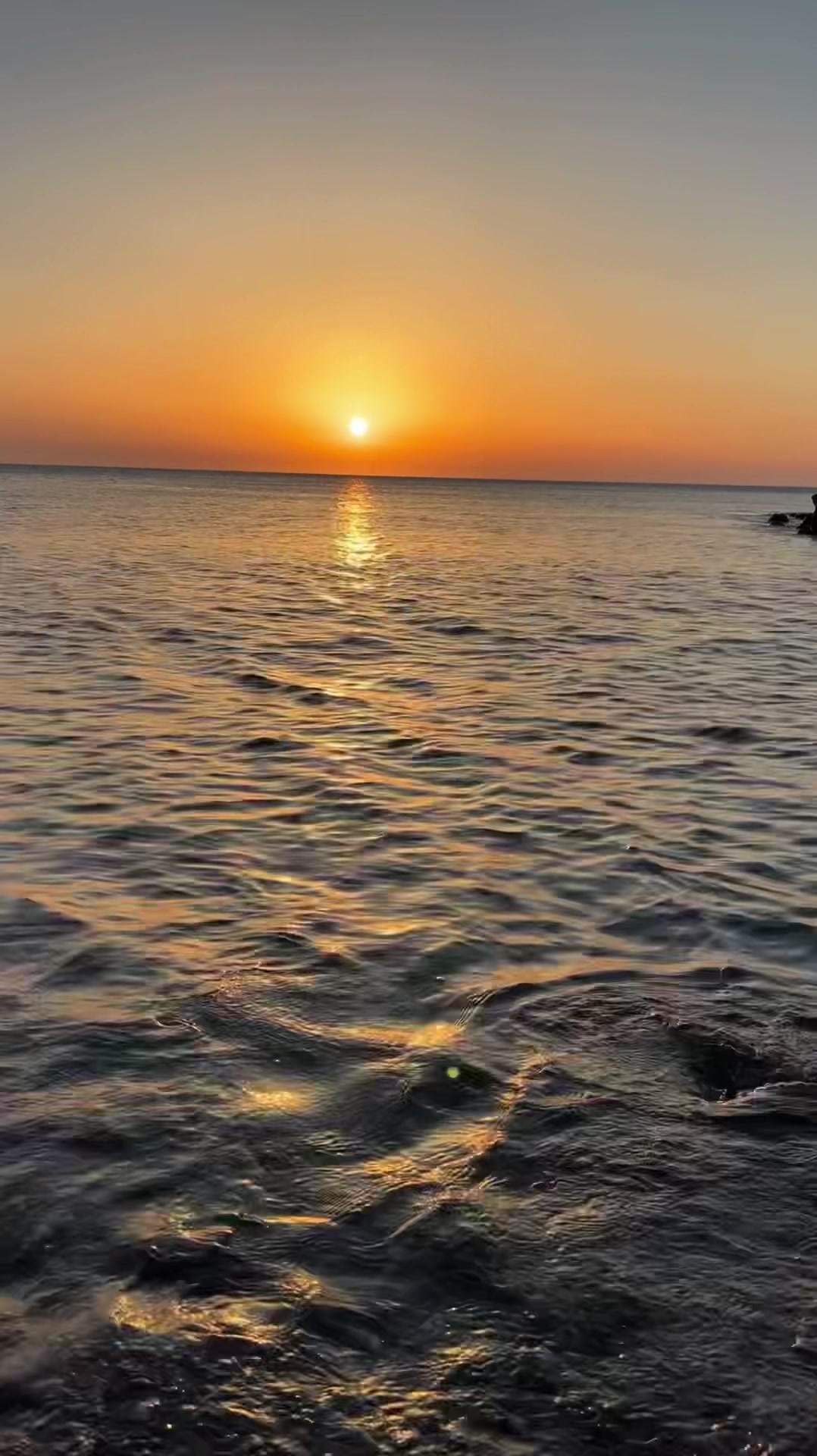 @Oussama🇲🇦تازي🇫🇷