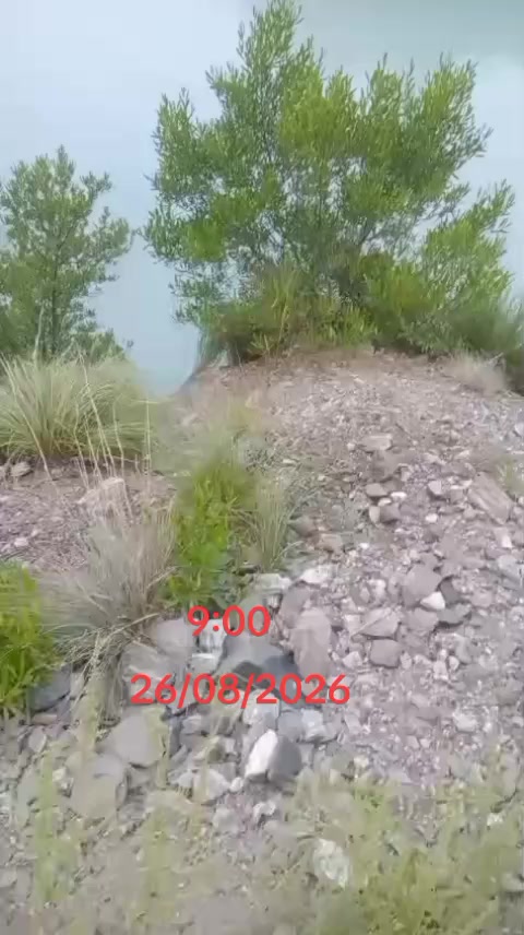 @arbaz khan 430