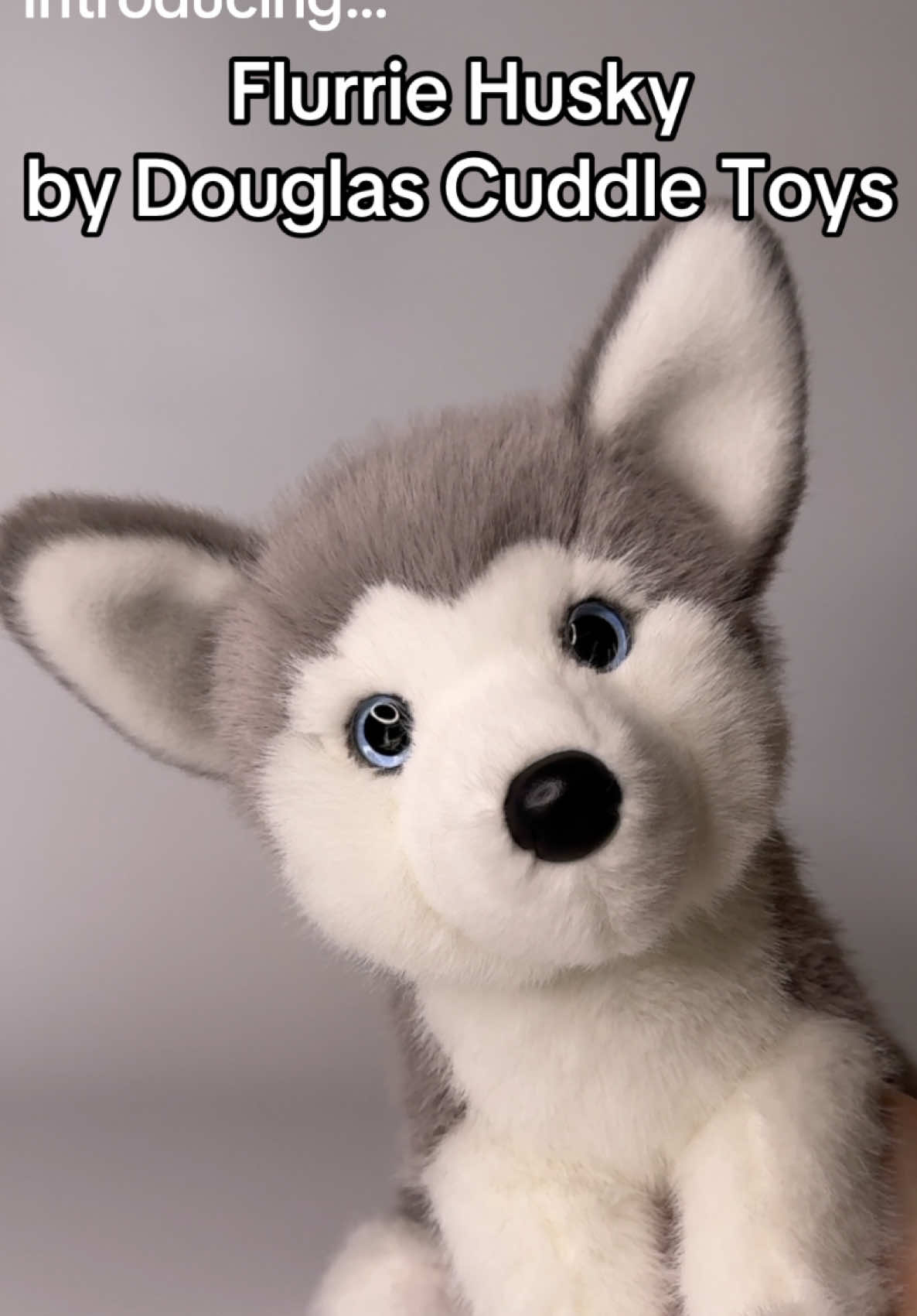 @Wonder Wolf Plush