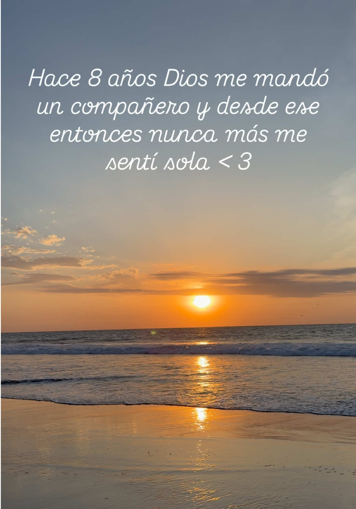@Geraldine Álvarez