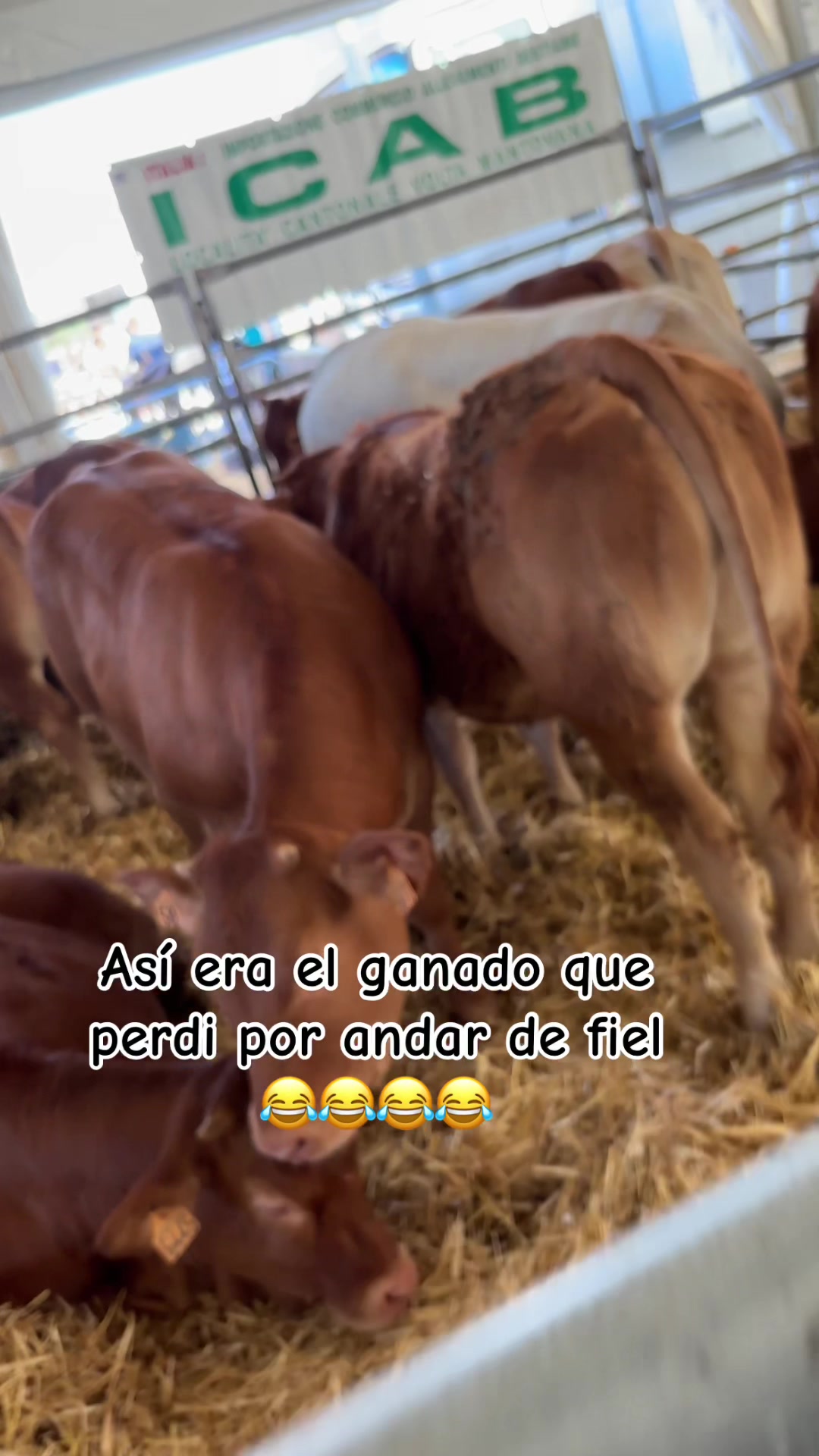 @Mari mar