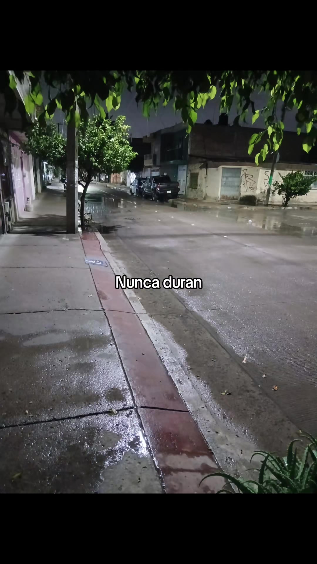 @Manuel Alejandro Mata
