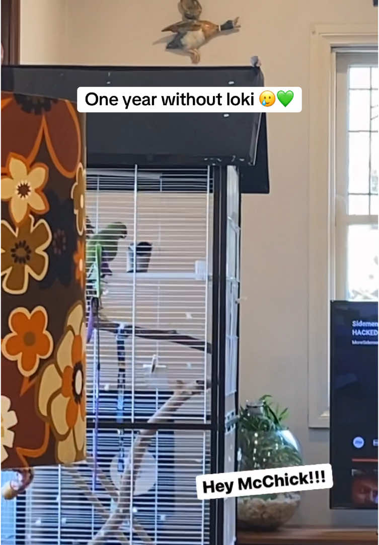 @millieandloki