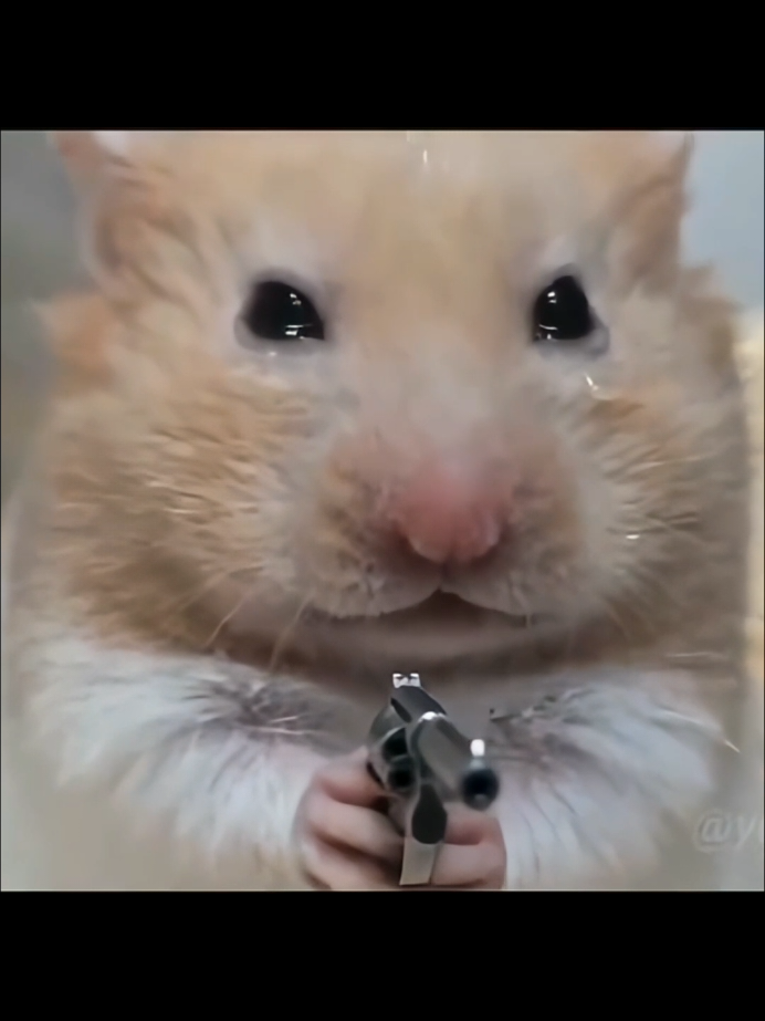 @โ๐แตแตแตแตหกแตสณฬคฬฎ๐ผ๐ฐ๐ฑ๐๐ซึถึธึข๐คโ๏ธ