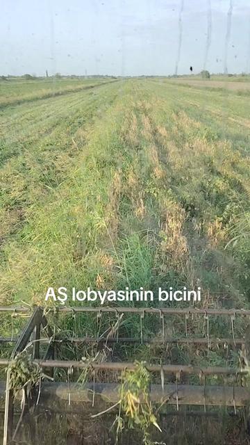 @XaliqQuliyev