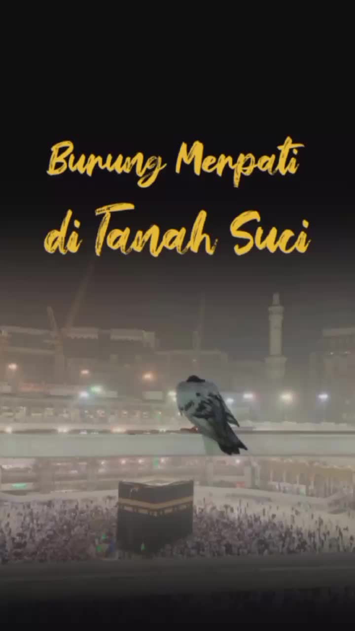 @Tawakal Travel