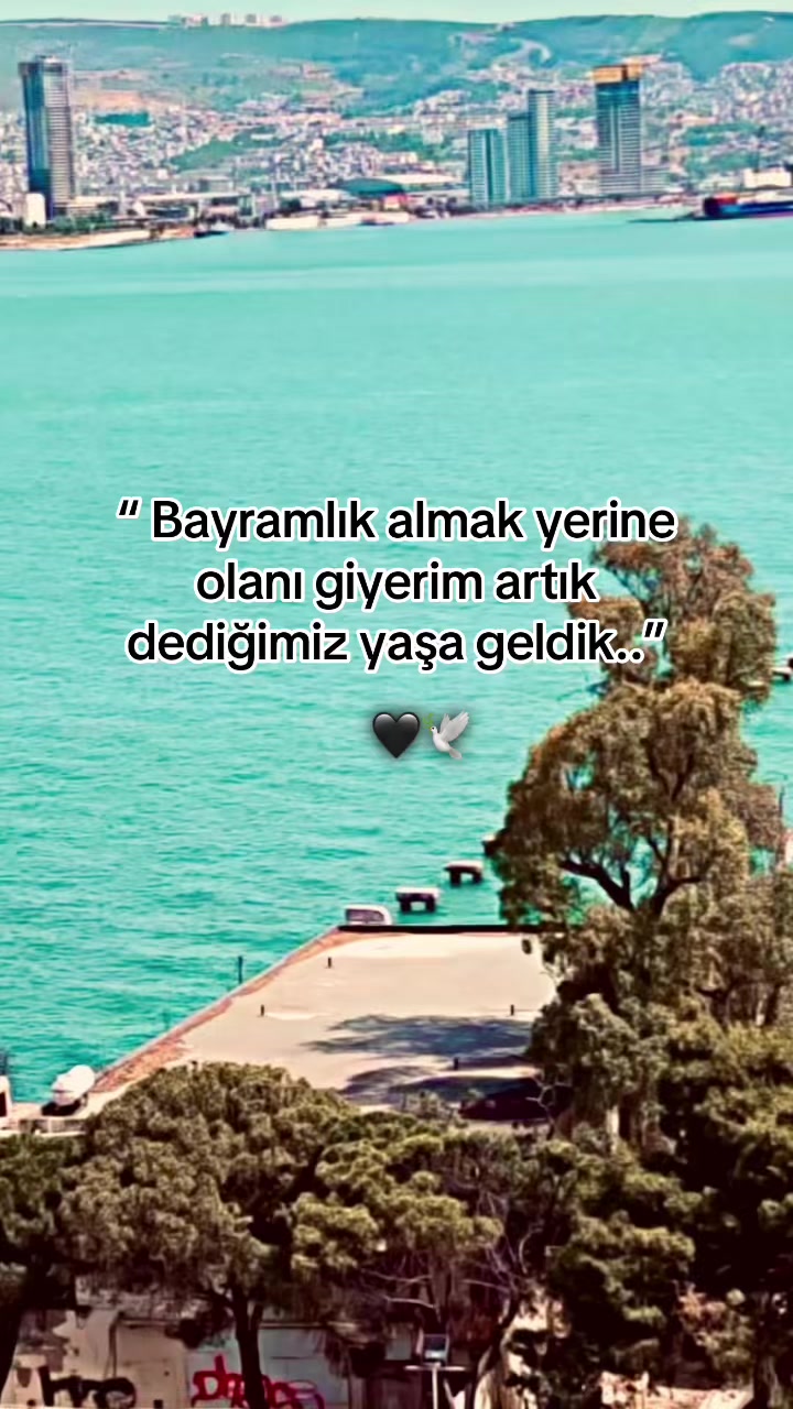 @storhanem63.01