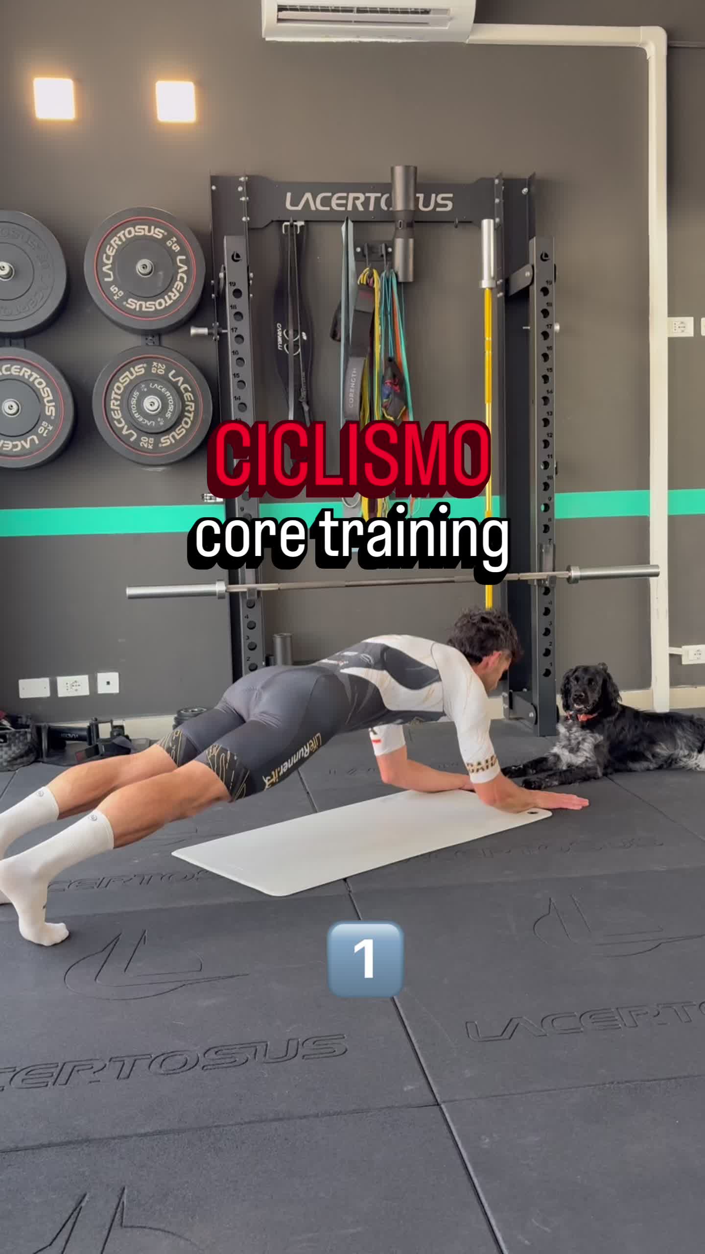 @Flamigni Trainer