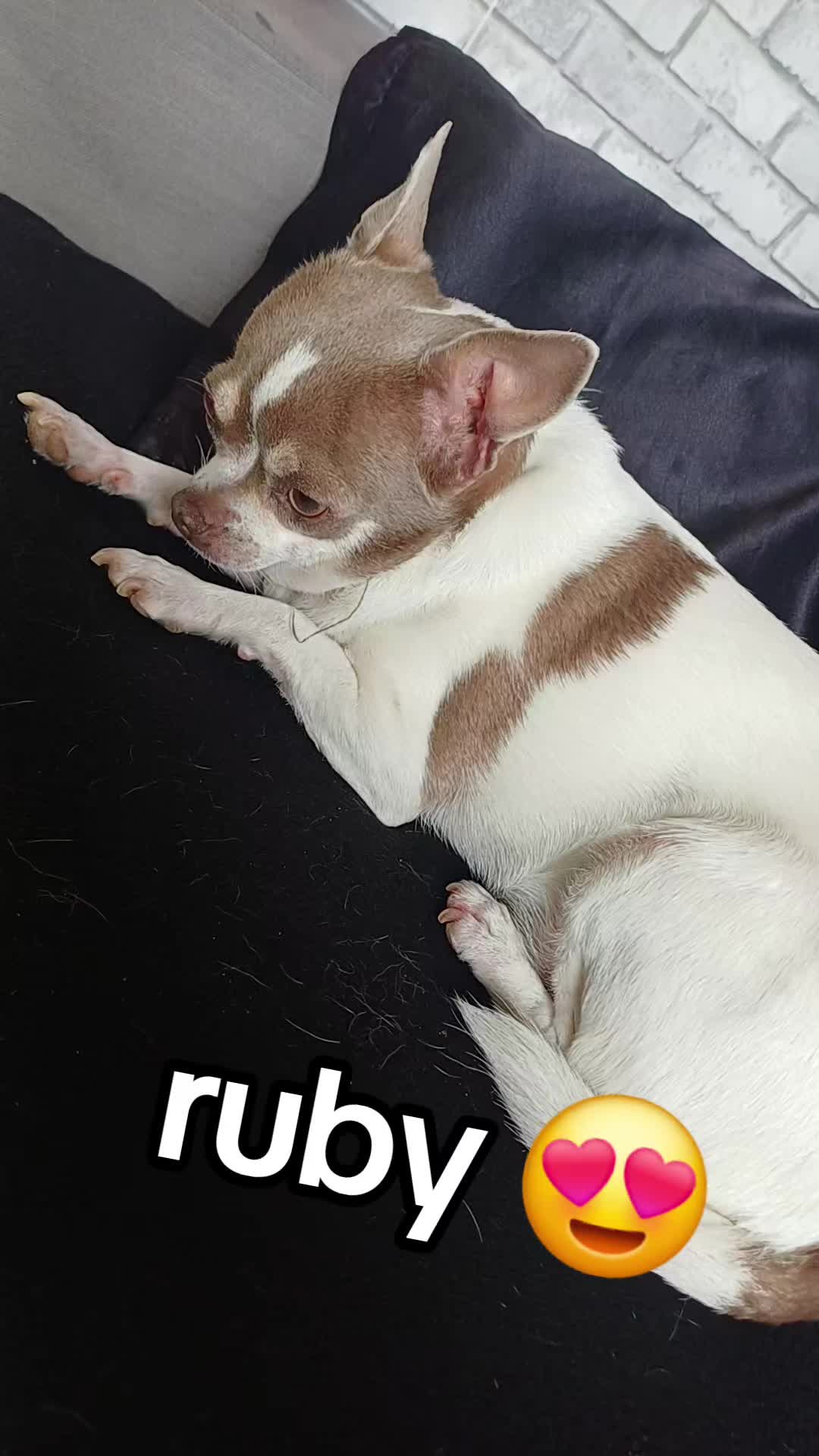@Magaliiee
