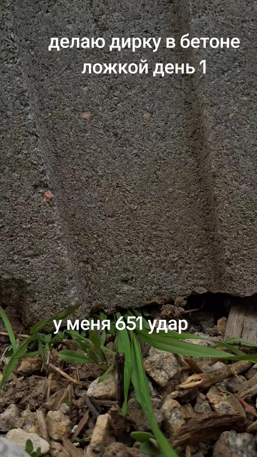 @x8