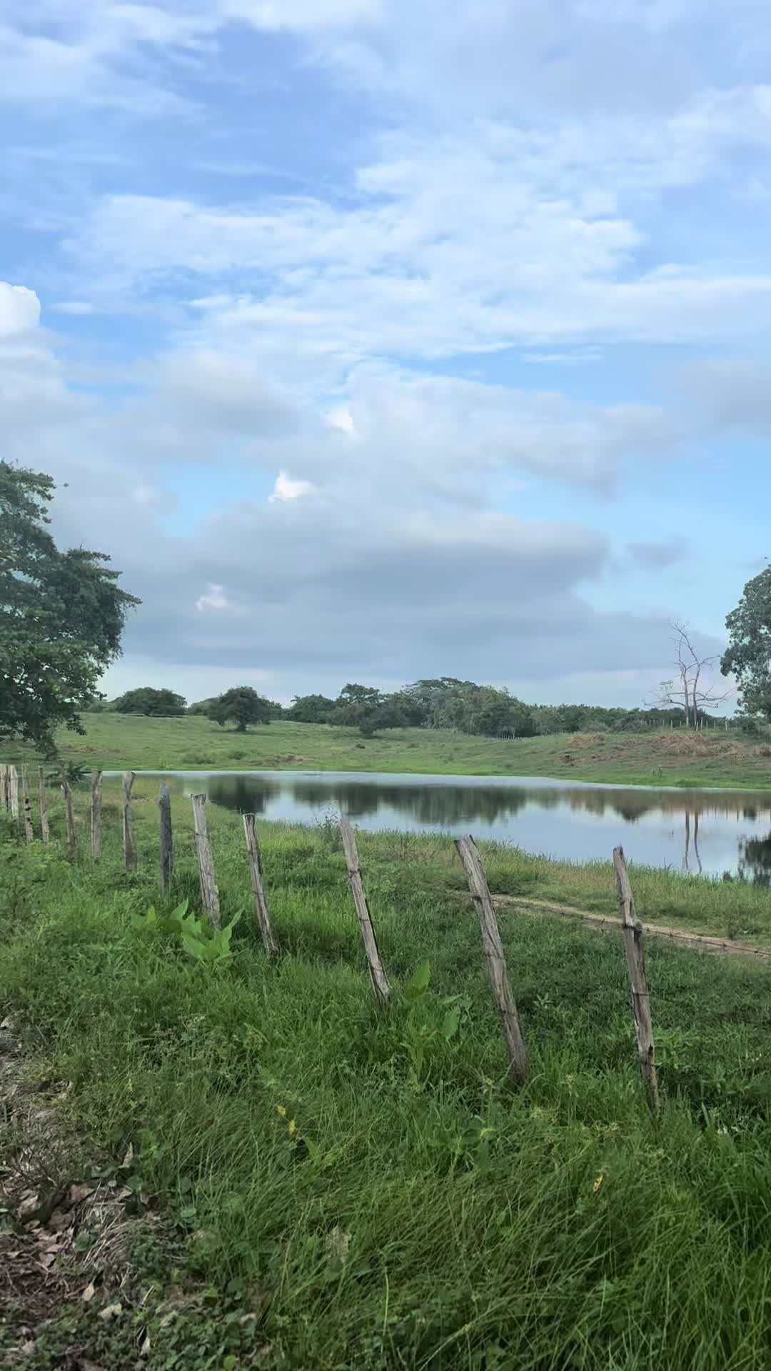 @EiverBaqueroContenidos