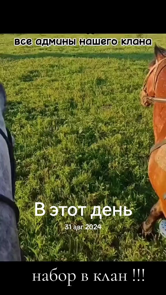 @⚜️Ксю⚜️