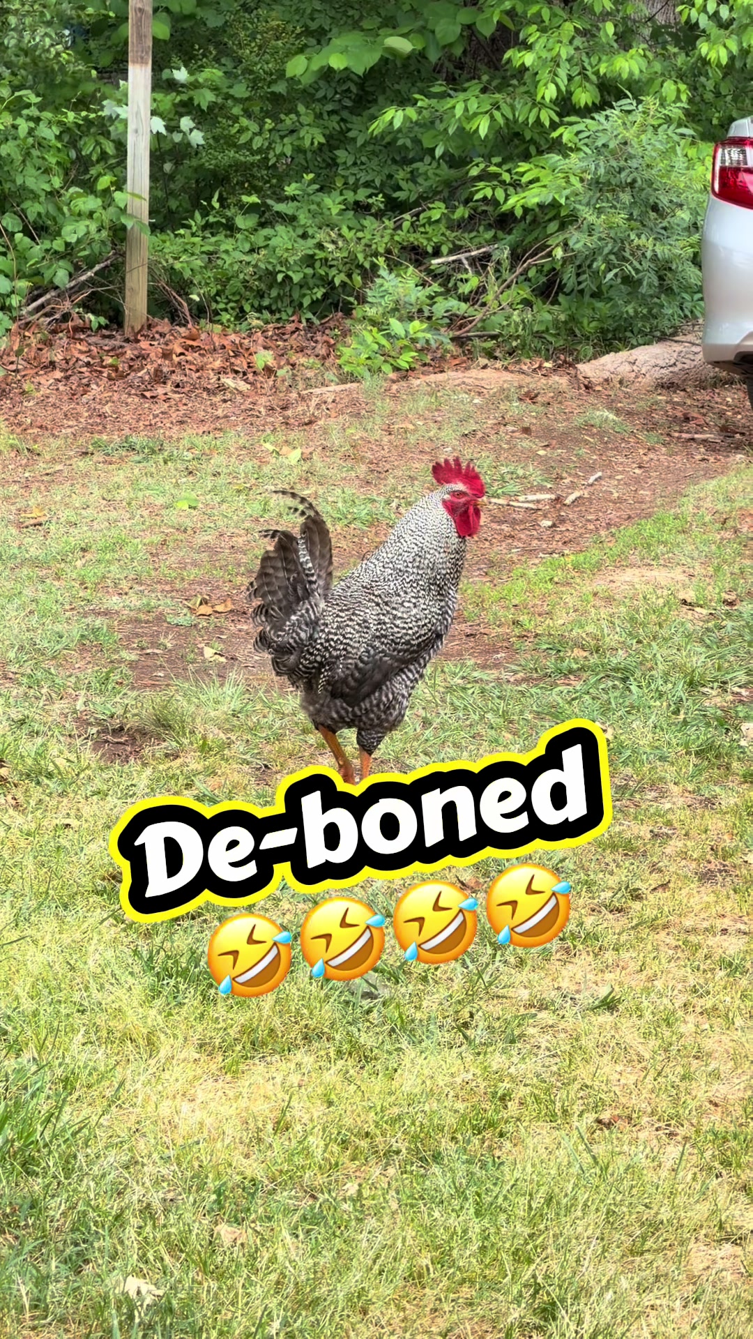 @Eggrollio