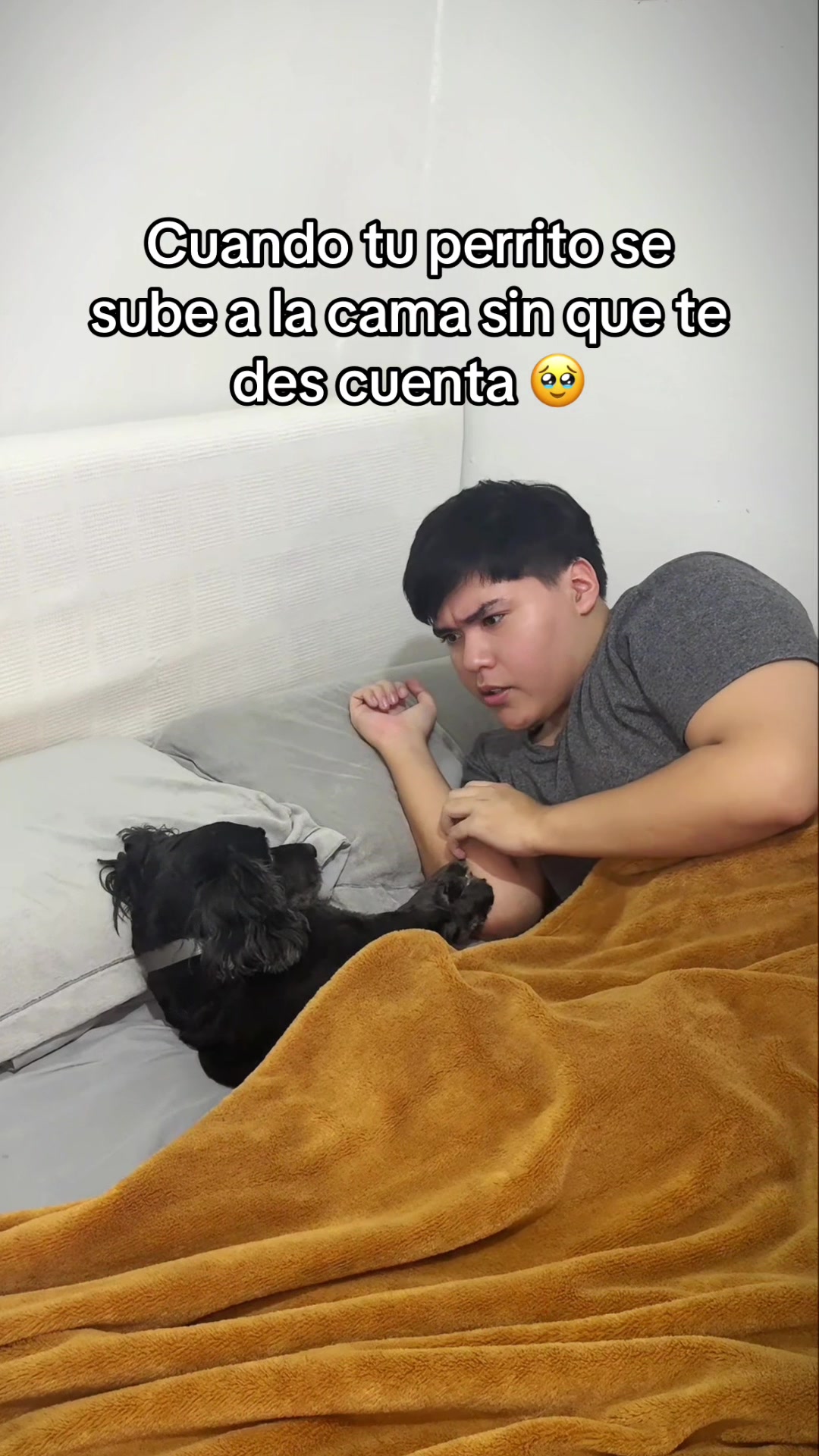 @ElPapucho