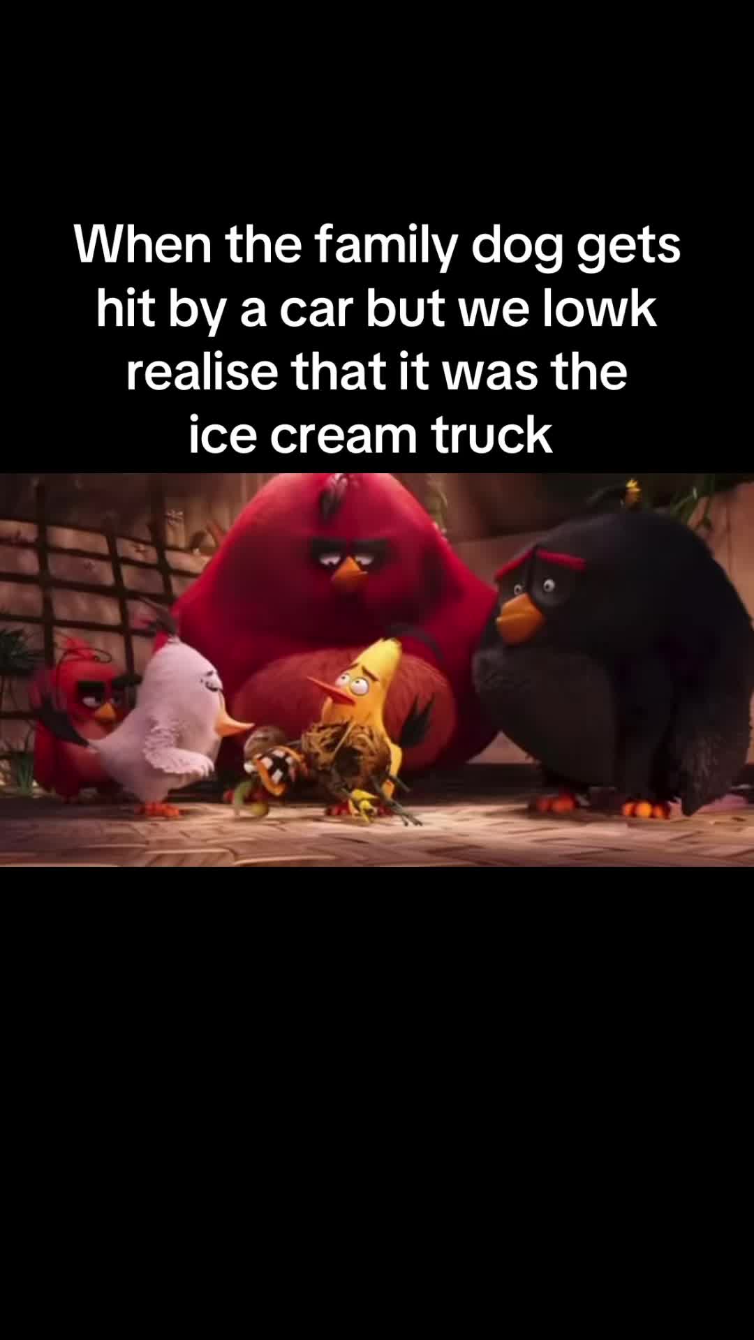 @SeemlyOwl