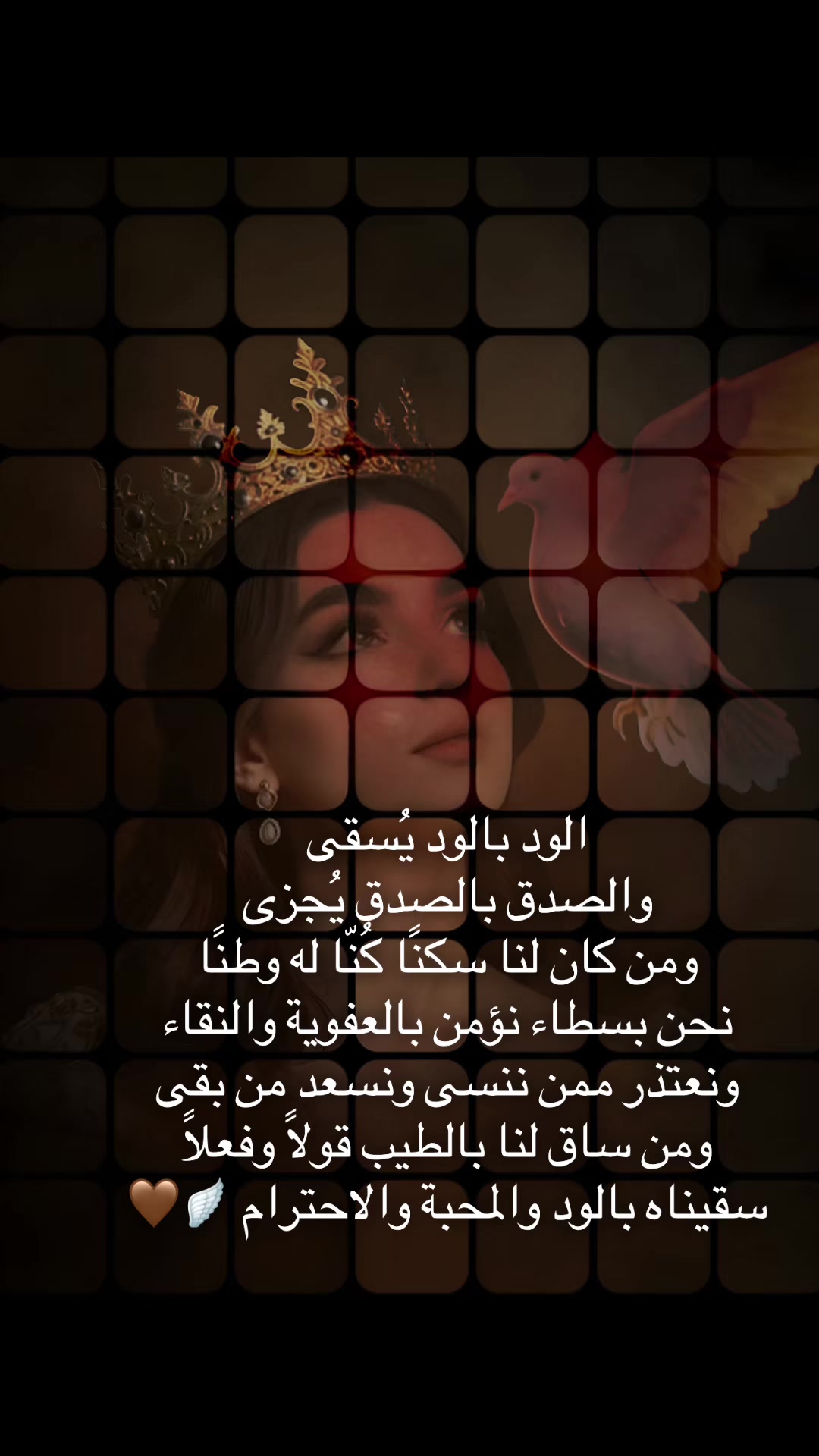@عـُـلا عــامــر🪽🤎