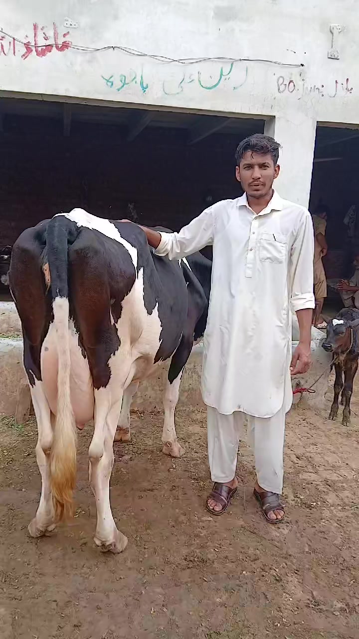 @Farming and Business Ideas
